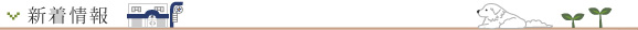 新着情報